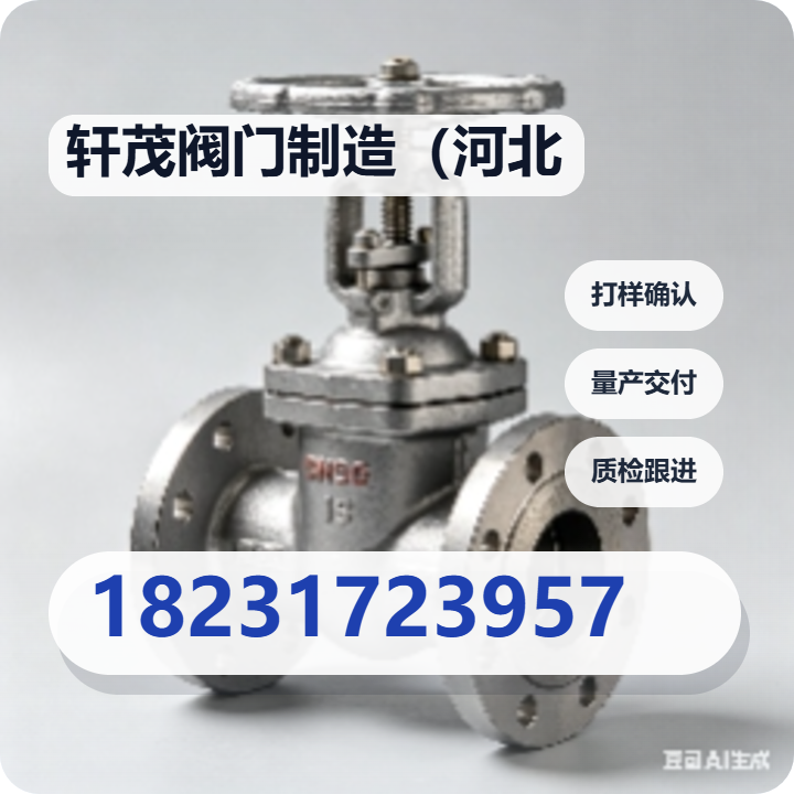 轩茂阀门制造（河北）有限公司 企业相册缩略图 2