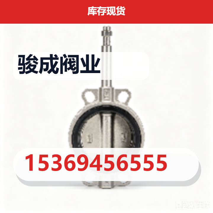 沧州骏成阀业有限公司 企业相册缩略图 2