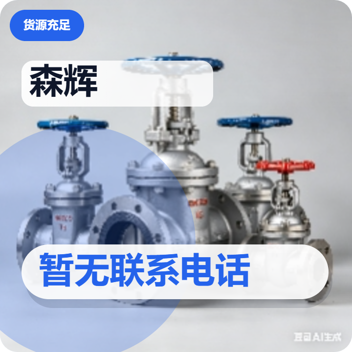 泊头市森辉阀门厂 企业相册缩略图 2