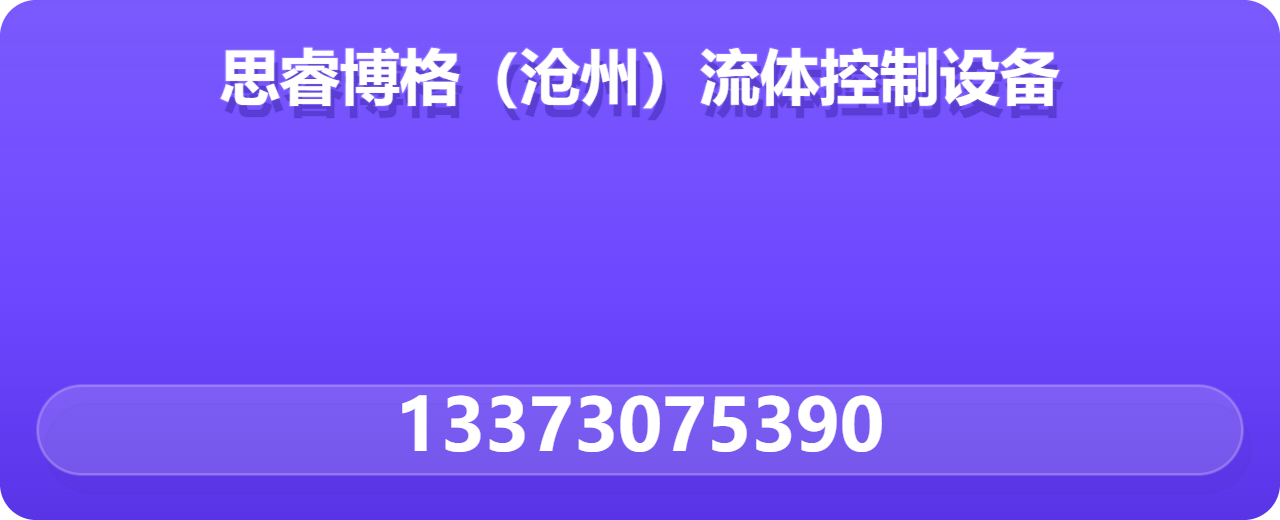 思睿博格（沧州）流体控制设备有限公司 企业相册缩略图 1