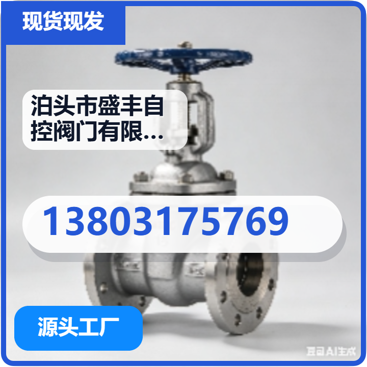泊头市盛丰自控阀门有限公司 企业相册缩略图 2