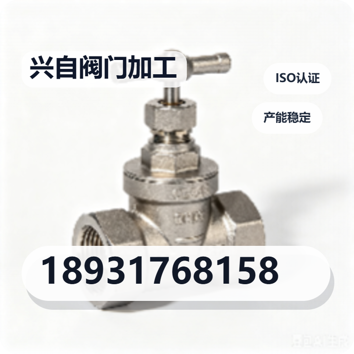 泊头市兴自阀门加工厂 企业相册缩略图 2