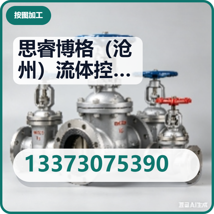 思睿博格（沧州）流体控制设备有限公司 企业相册缩略图 2